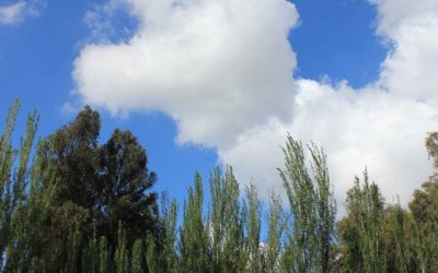 Mapa de redes comuna de Padre Hurtado