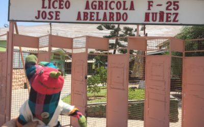 Muñecos llevaron esperanza a nortino damnificado