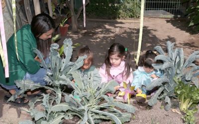 Siembra Cambio:“Los niños deben recibir educación medio ambiental”